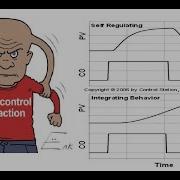 SELF REGULATING VS INTEGRATING PROCESS BEHAVIOR SPANISH LANGUAGE