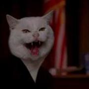 AllyMcBeal Cat Morph