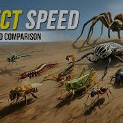 FASTEST Insect Speed 3D Comparison Mosquito Vs Dragonfly