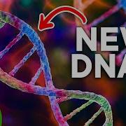 How We Could Rewrite Our Genetic Code