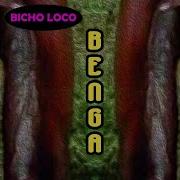 Benga