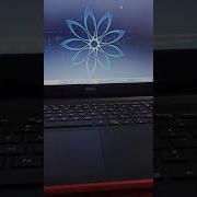 Python Flowers Program Graphics Shorts Ytshorts Programming