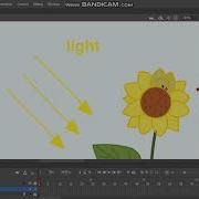 Create Advance Button In Adobe Animate CC