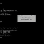 AWT Radio Button Example