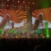 Madness Newcastle Metro Arena 8 12 16