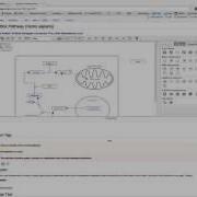 WikiPathways Java Applet Editor Chrome Enable NPAPI
