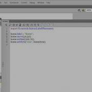 Customizing The Button Component In Flash 1