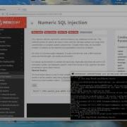 Numeric SQL Injection