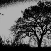 Endevie Archangel Sennago Remix