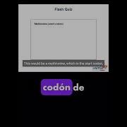 Start And Stop Codons USMLE Step 1