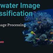 Python Image Processing Project Underwater Image Classification ClickMyProject