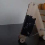 Worm Robot