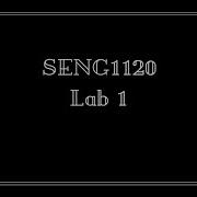 Lab 1