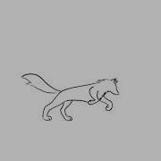Short Animation Wolf Running Process