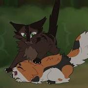 Jealous Shakyfoot Warriors OC PMV
