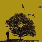 Jack Johnson Better Together Lyrics