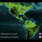 Tracking Migrating Raptors