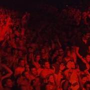Triggerfinger Lowlands 2012