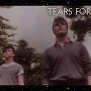 Tears For Fears Pale Shelter