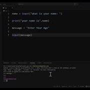 Learn Python Input Function 9