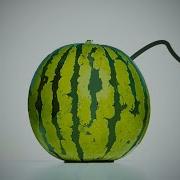Let S Blow Up This Watermelon Explosive 1 Minute Timer