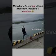 My Relationship With Bugs Developermemes Codingmemes Funny Comedy Programmingmemes