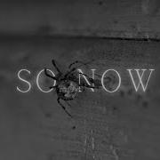 So Now By Charles Bukowski