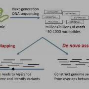 WES Sequence Alignment Variant Calling And Annotation Review Part 1