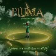 Circus Pluma Concept Development 3D Mapping Lighting Programming