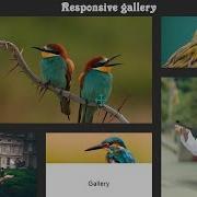 How To Design Responsive Gallery Using Bootstrap And Lightbox