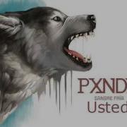 Pxndx Usted Letra