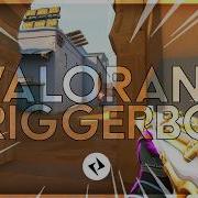 Showcasing The BEST Valorant Triggerbot Synthar ADVANCED