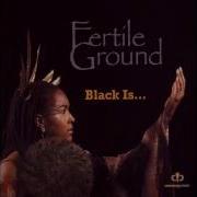 Fertile Ground Live In The Light