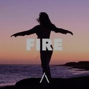 Palm Monkey The Palm Tree Boy Boix Breakloop VANDR FIRE Music Video