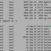 Linux Bash Course 12 51 Command Substitution