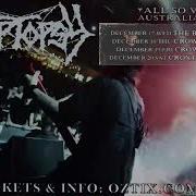 CRYPTOPSY Aussie Tour Vid 2025