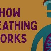 How Breathing Works Nirvair Kaur