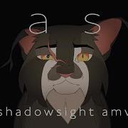 Easy Amv