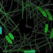 Artificial Pheromone Disrupts Foraging Ants