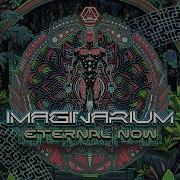 Imaginarium Burn In Noise Boogie Man Official