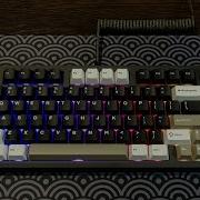 Leobog HI8 SE Black PP Slotted Plate Star Vector Switches Sound Test