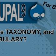 Drupal9 Taxonomy Tutorial