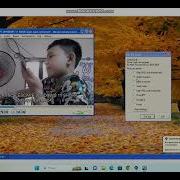 Windows XP BSOD Compilation Part 6