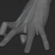 Tendons