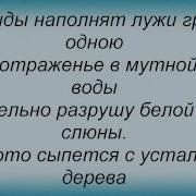 Слова песни Дельфин Дверь