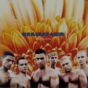 Rammstein Weisses Fleisch