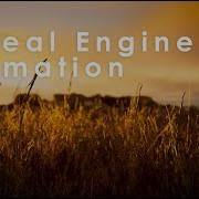 Unreal Engine 5 Animation Grass Field