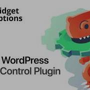 Widget Options Free Plugin Overview
