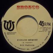Roy Panton Endless Memory Bronco JAP
