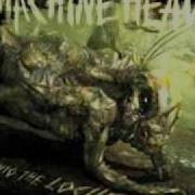 3 Locust Lyrics